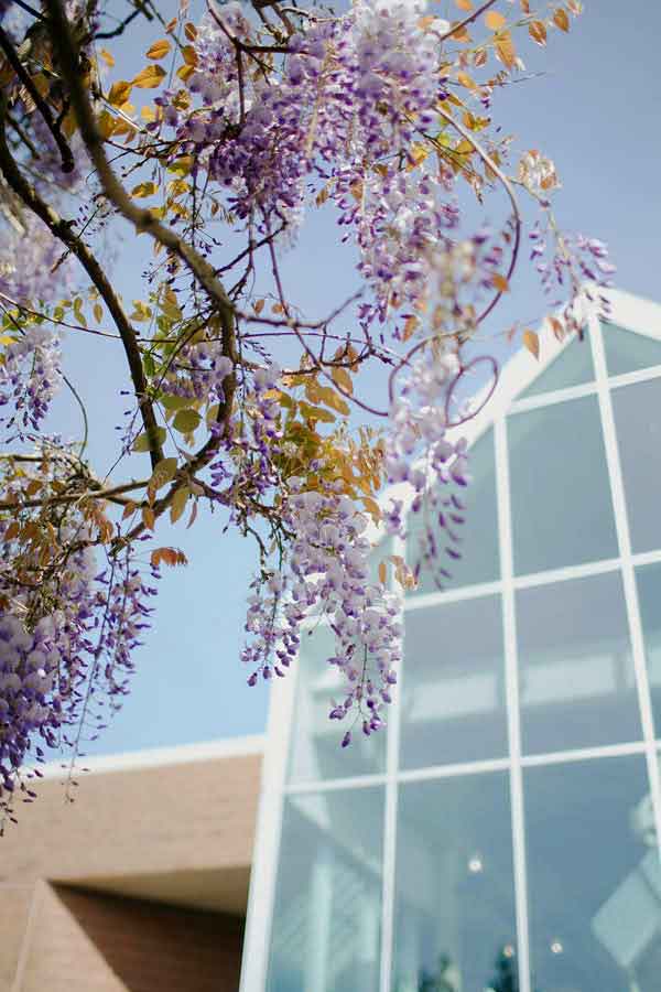 Cheryl Wong Mikl&oacute;s